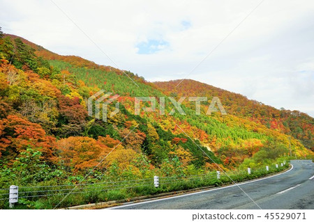 If you take the Nanchang tunnel, the famous spot of autumn leaves If you take the Nanchang tunnel, the famous spot of autumn leaves 45529071