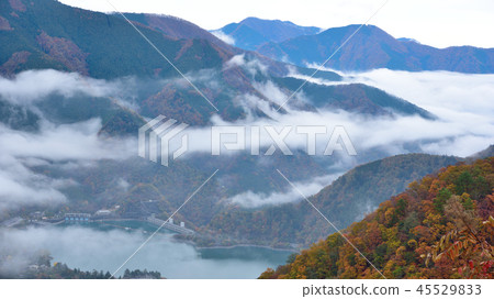 <Okutama> A view of the sea of clouds from the moonlit night view first parking lot of colored leaves (Okutama Suyu road) (aspect ratio 16: 9) 45529833