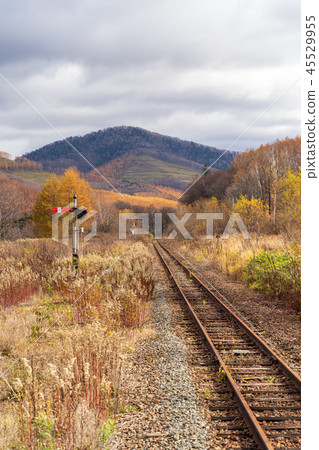 Ikuchi Station on the way 45529955