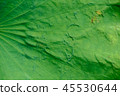 Natural exotic background. Dark toning, selective  45530644
