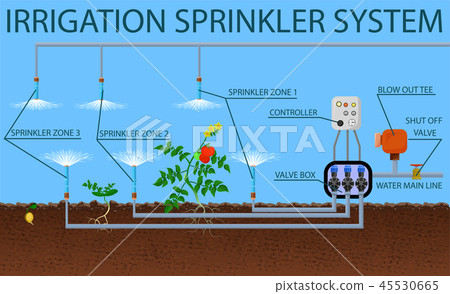 Irrigation Sprinkler System. Vector Illustration. - Stock Illustration ...