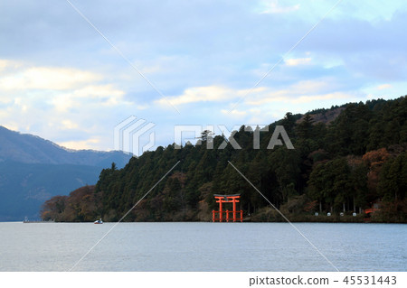 Torii of Hakone Shrine (Kanagawa Prefecture) 45531443