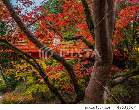 秋葉Yonago寺廟 45531507