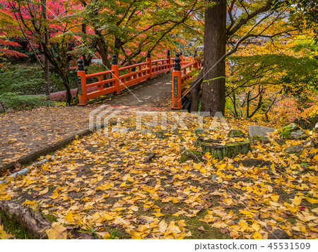 秋葉Yonago寺廟 45531509