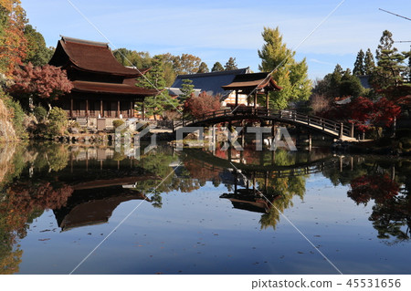 Tokeikei Eho-ji Temple Kannon-do and Shinji Pond 45531656