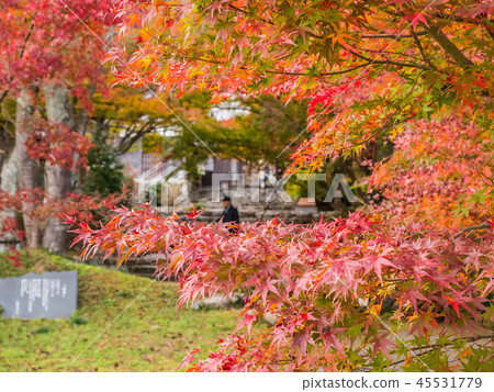 Fall temple Fall temple 45531779