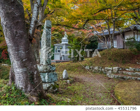 Fall temple 45531796
