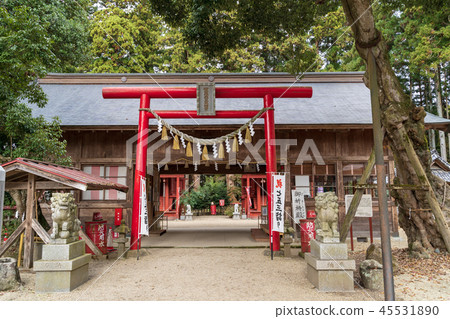 深秋Kamo Shrine Miyagi仙台泉 深秋Kamo Shrine Miyagi仙台泉 45531890