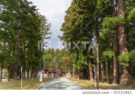 深秋接近Kamo Shrine Miyagi仙台泉 深秋接近Kamo Shrine Miyagi仙台泉 45531981