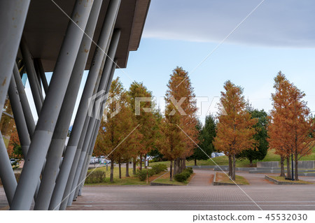 Shellcom Sendai in the late fall Shellcom Sendai in the late fall 45532030