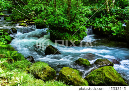 山間溪流的視圖 45532245