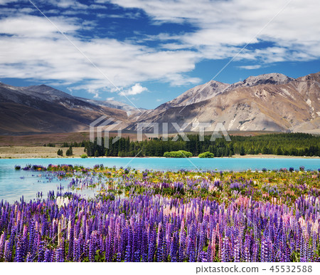 Lake Tekapo, New Zealand 45532588