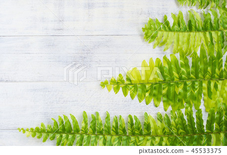 Fern frame-antique white board Fern frame-antique white board 45533375