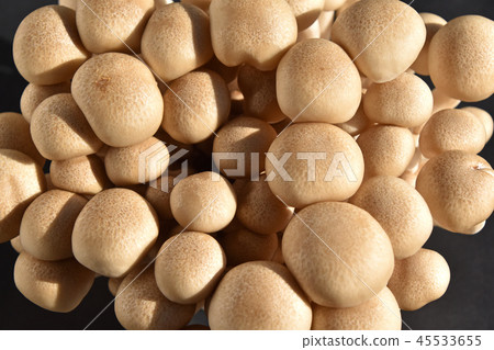 Mushroom (Bunazameji) 45533655