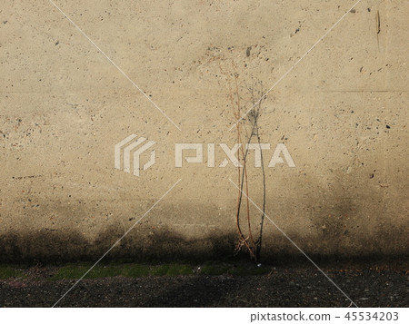 It is a wonderful autumn arrival. 45534203