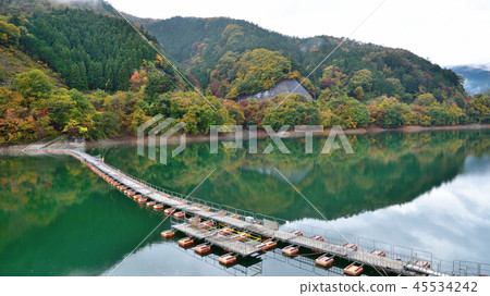 <Okutama Lake> Bare mountain floating bridge of yellow leaves (drum can bridge) (aspect ratio 16: 9) Okutama-cho, Nishitama-gun, Tokyo <Okutama Lake> Bare mountain floating bridge of yellow leaves (drum can bridge) (aspect ratio 16: 9) Okutama-cho, Nishitama-gun, Tokyo 45534242