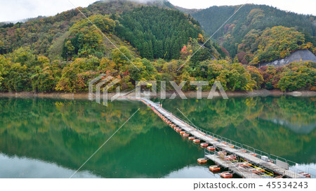 <奧多摩湖>黃葉的裸山浮橋(鼓可橋)(長寬比16:9)東京都西多士郡奧多山町 <奧多摩湖>黃葉的裸山浮橋(鼓可橋)(長寬比16:9)東京都西多士郡奧多山町 45534243
