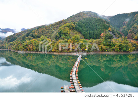 <Okutama Lake> Bare mountain floating bridge of autumn leaves (drum can bridge) Okutama-cho, Nishitama-gun, Tokyo 45534293