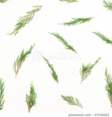 Christmas winter pattern of tree branches on white 45536001