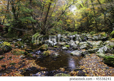 風景 風景 45536241