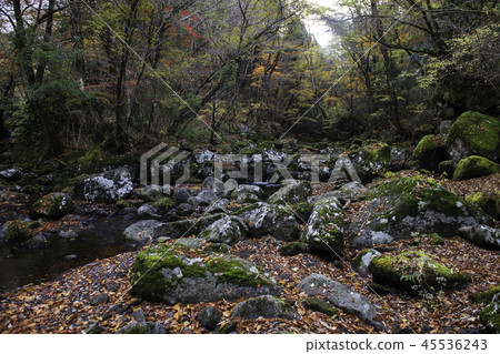 風景 45536243
