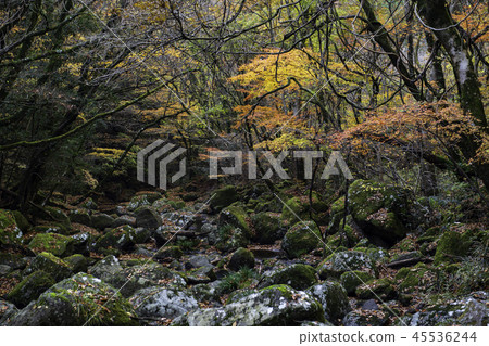 scenery scenery 45536244