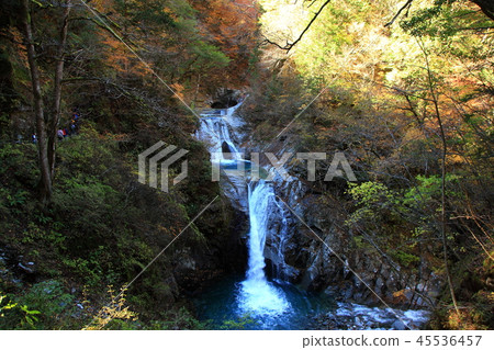 Autumn waterfall pot 45536457