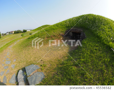 觀音山古墓 45536582