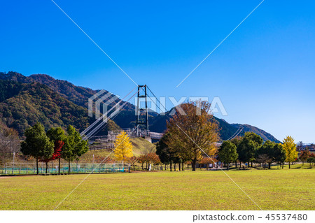 (Kanagawa Prefecture) Lake Miyagase Lake Gion site Keyaki open space 45537480