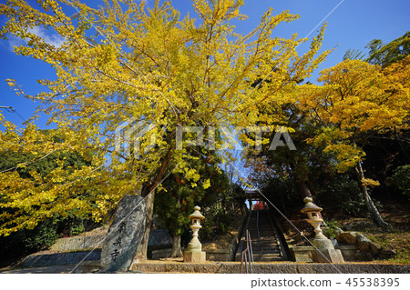 Jorakuji Ginko 45538395