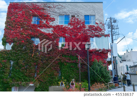 [Hakodate Motomachi, Hokkaido] Walls of buildings entwined with ivy and tourists' cameras all at once 45538637