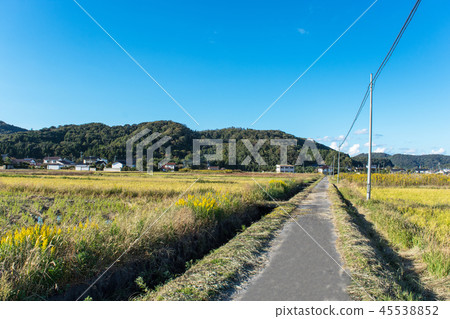 Rural and residential complex 45538852