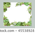 Green tropical palm leaf and orchids flowers decorative border frame. Vector elegant template 45538928