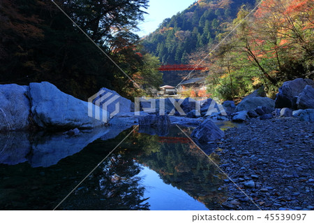 Morning of Yasui Valley (Kochi Prefecture) Morning of Yasui Valley (Kochi Prefecture) 45539097