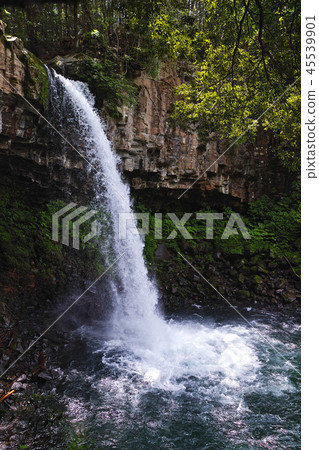 [Shizuoka Prefecture] Manjo Falls (Manjo Falls) 45539901