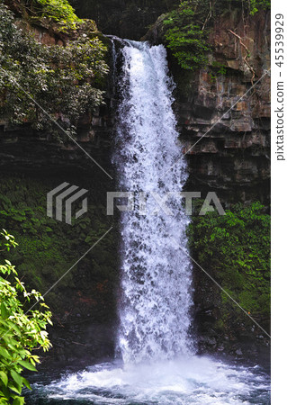 [靜岡縣]萬丈瀑布（Manjo Falls） 45539929