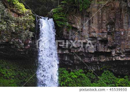 [靜岡縣]萬丈瀑布（Manjo Falls） 45539930