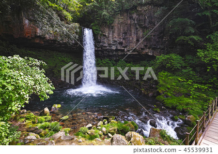[靜岡縣]萬丈瀑布（Manjo Falls） 45539931