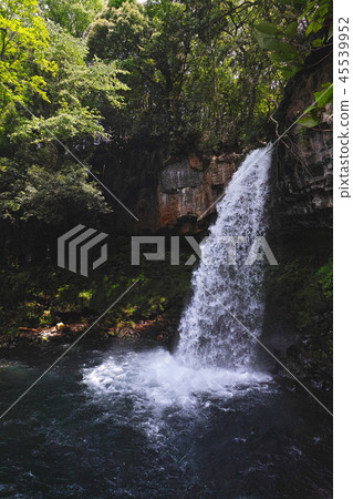 [Shizuoka Prefecture] Manjo Falls (Manjo Falls) 45539952