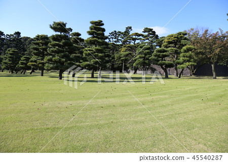 皇宮前面 45540287