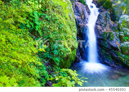 Autumn leaves of plum tree Kaki Falls [Yatsushiro City, Kumamoto Prefecture] 45540301