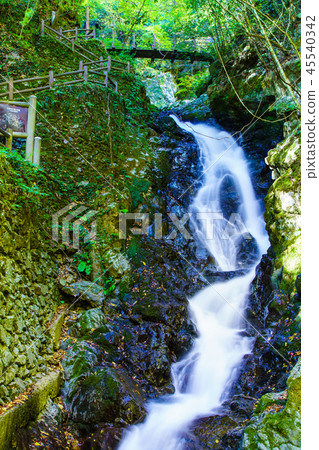 Autumn leaves of plum tree Kaki Falls [Yatsushiro City, Kumamoto Prefecture] 45540342
