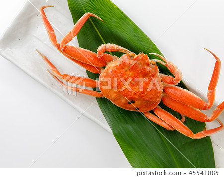 海鮮蟹精工蟹山高螃蟹Coppecani 45541085