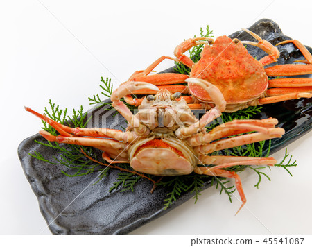 海鮮蟹精工蟹山高螃蟹Coppecani 45541087