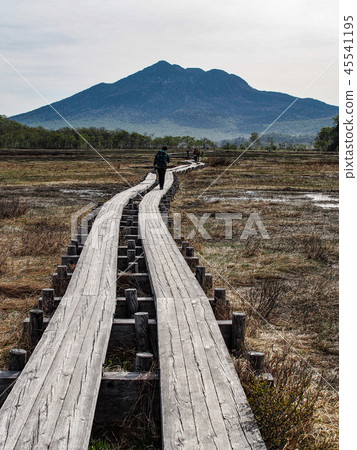 春天Ozegahara和Mt. Kasumigatake 45541195