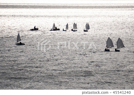 Optimist young children ship regatta Optimist young children ship regatta 45541240