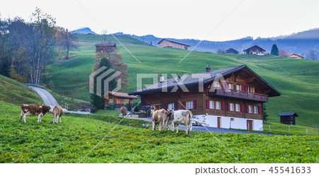 Landscape with mountain village in autumn Landscape with mountain village in autumn 45541633