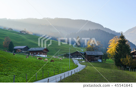 Landscape with mountain village in autumn Landscape with mountain village in autumn 45541641