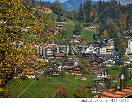 Landscape with mountain village in autumn 45541683
