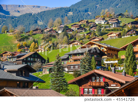 Landscape with mountain village in autumn 45541726